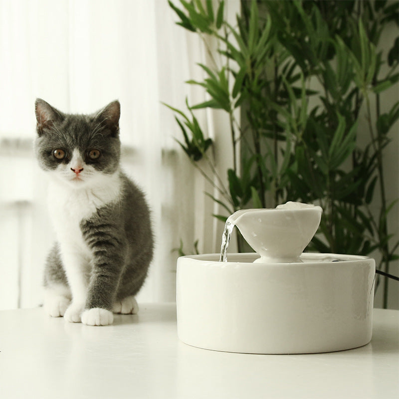 Smart Circulation Drinking Bowl Fountain Ceramic For Cats